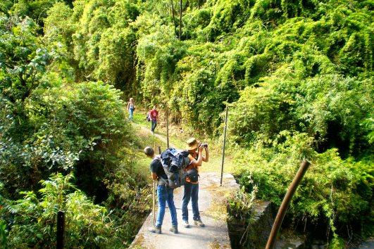 Trekking