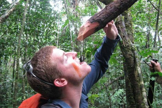 Amazonia