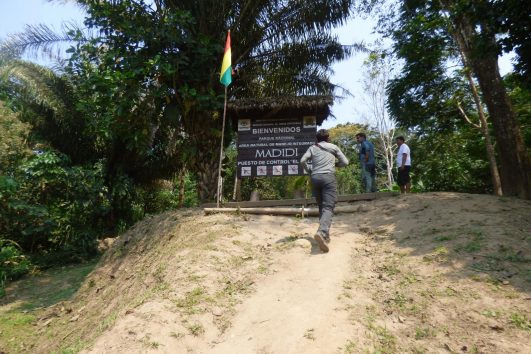 Jungle Tour – National Park Madidi