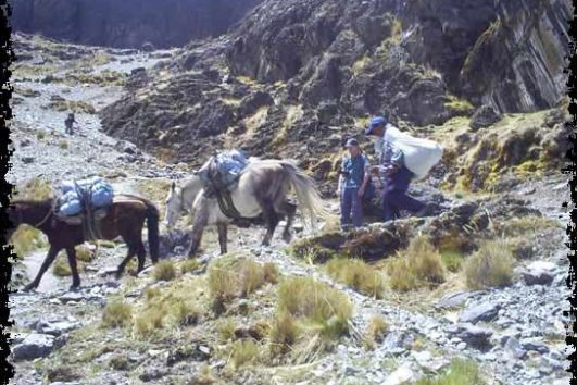 Apolobamba – The Kallawaya’s Trail