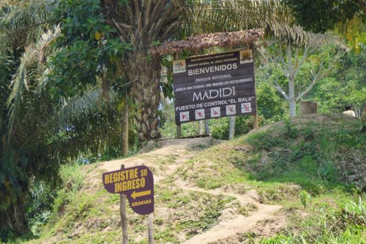 Jungle – Classic / National Park Madidi